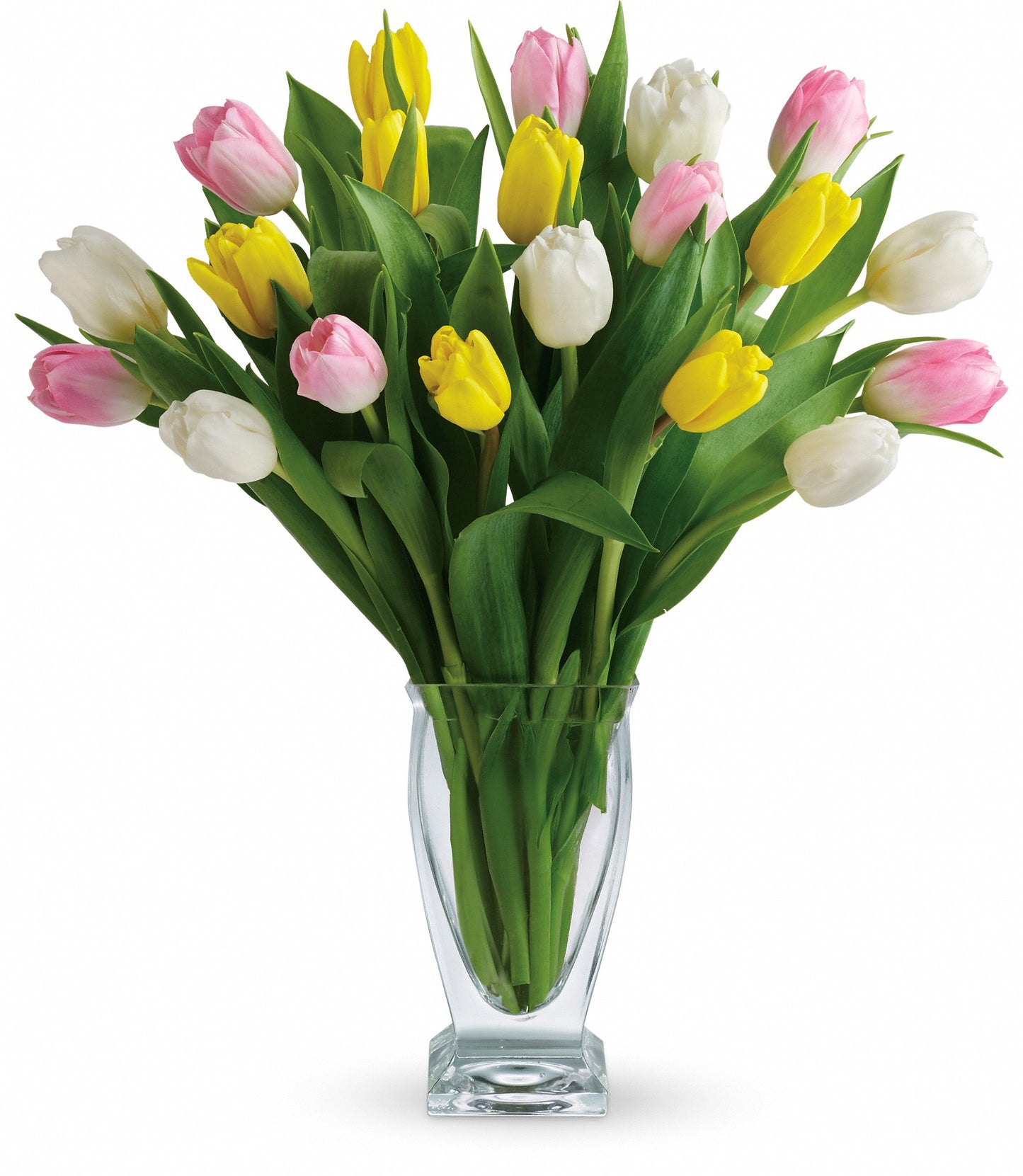 Tulip Treasure