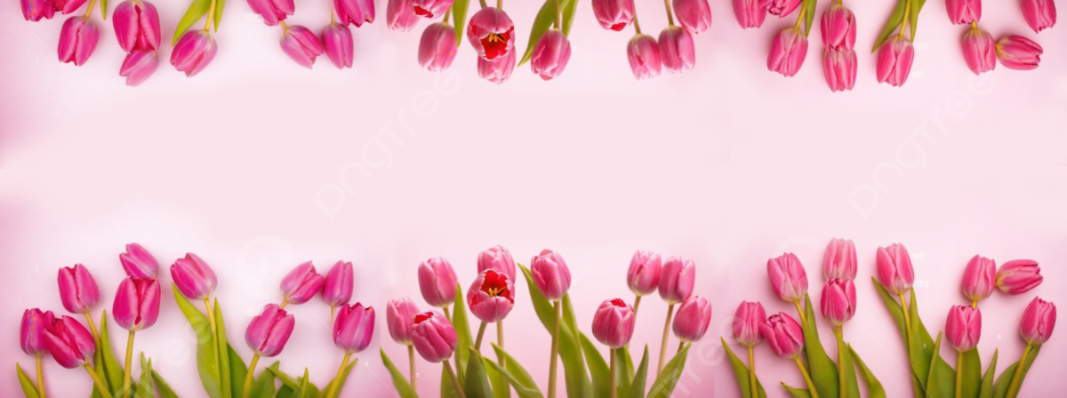 homepageBannerMetadata_Image_1780351663206.jpeg